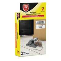 SBM protect home muizenval safe