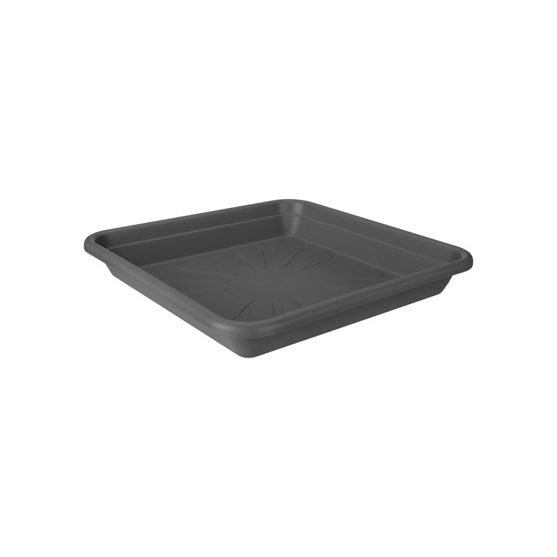 Elho universal saucer square 25 anthracite Bloembollen Kopen? Goedkoop Bloembollen online