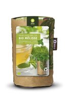 Seeds en tea garden bio citroenmelisse - afbeelding 2