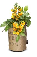 Seeds & Tomatoes rags bio clementine yellow - afbeelding 2