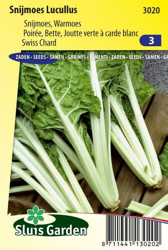 Snijbiet/Snijmoes zaden Lucullus