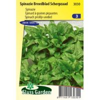 Spinazie zaden Breedblad Scherpzaad