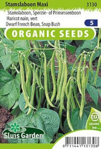 Stamslaboon maxi BIO zaden