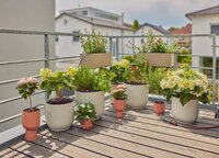 Gardena microdrip start set voor balkon - afbeelding 3