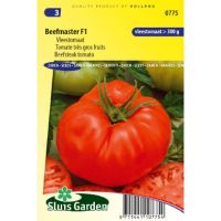 Tomaat zaden Beefmaster F1