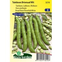 Tuinboon Driemaal Wit 80 gram