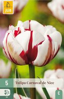 Tulp Carnaval de Nice 5 bollen - afbeelding 3