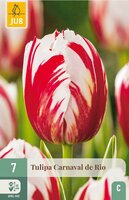 Tulp carnaval de rio 7 bollen - afbeelding 1