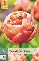 COPPER IMAGE TULIPA