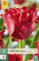 Tulp crown red dress 5 bollen - afbeelding 2