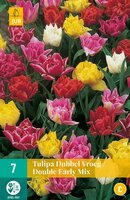 Tulp Double early mix 7 bollen - afbeelding 2