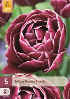 TULIPA DREAM TOUCH