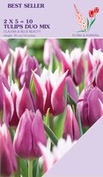 Tulp duo 2x5 Claudia & Blue Beauty 10 bollen