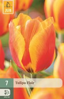 Tulp Flair 7 bollen