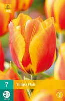 Tulp Flair 7 bollen - afbeelding 3