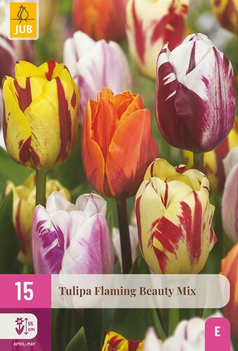 Tulp flaming beauty mix 15 bollen - afbeelding 2