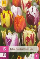 Tulp flaming beauty mix 15 bollen - afbeelding 2
