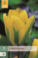 Tulp Formosa 7 bollen