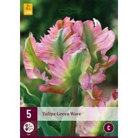 Tulp Green Wave 5 bollen - afbeelding 3