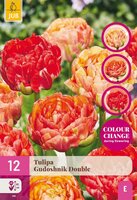 Tulp gudoshnik double 12 bollen - afbeelding 1