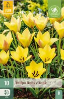 Tulp honky tonk 10 bollen - afbeelding 3