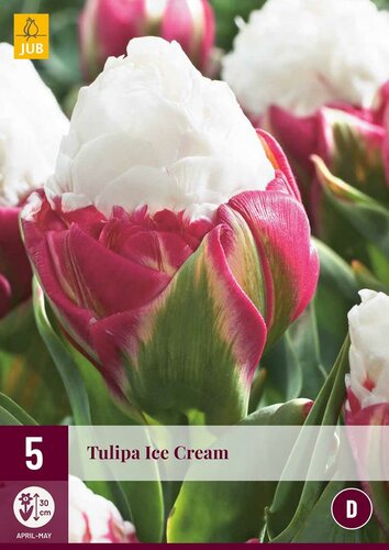 Tulp Ice Cream 5 bollen - afbeelding 1