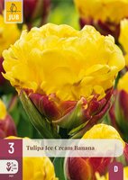 Tulp ice cream banana 3 bollen - afbeelding 2