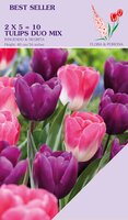 Tulp Innuendo & Negrita mix 10 bollen
