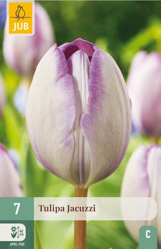 JACUZZI TULIPA