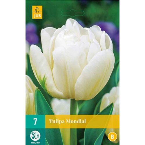 Tulp mondial 7 bollen - afbeelding 1