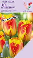 Tulp olympic flame 10 bollen - afbeelding 2