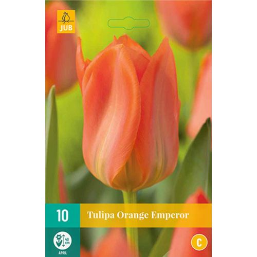 Tulp orange emperor 10 bollen - afbeelding 1