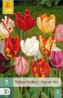 Tulp parkiet mix 7 bollen - afbeelding 2