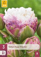 Tulp peggy wonder 3 bollen - afbeelding 2