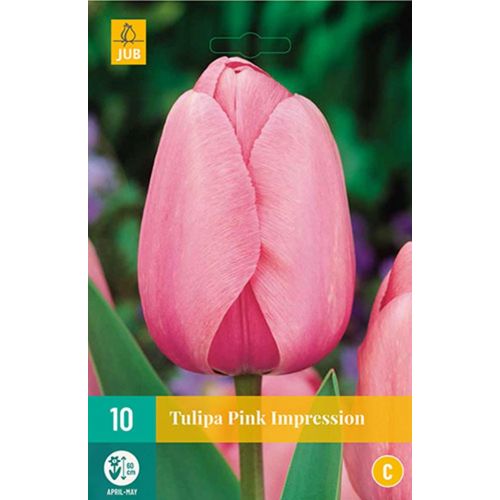 Tulp pink Impression 10 bollen - afbeelding 1