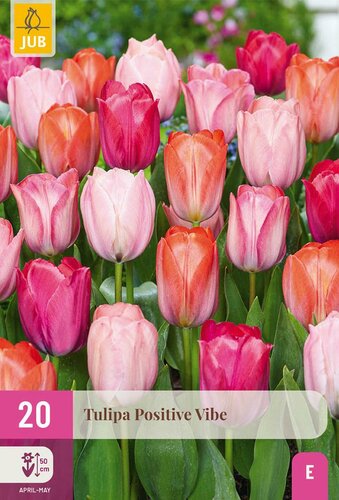 Tulp Positive Vibe 20 bollen