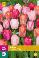 Tulp Positive Vibe 25 bollen