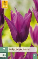 Tulp Purple dream 7 bollen - afbeelding 3