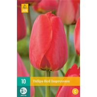 TULIPA RED IMPRESSION