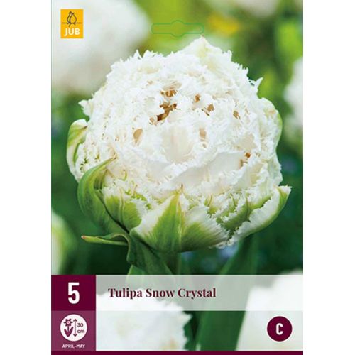 Tulp Snow Crystal 5 bollen