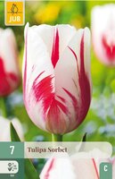 Tulp Sorbet 7 bollen - afbeelding 4