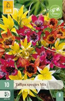 Tulp species mix 10 bollen - afbeelding 2