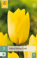 Tulp strong gold 7 bollen - afbeelding 1