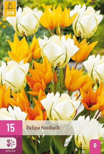 Tulp sunbath 15 bollen