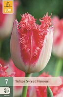 Tulp sweet Simone 7 bollen
