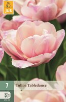 TABLEDANCE TULIPA