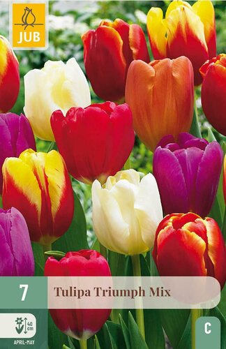 Tulp triumph mix 7 stuks