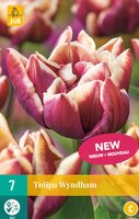 WYNDHAM TULIPA