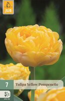 YELLOW POMPENETTE
