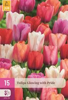 Tulpen glowing with pride 15 bollen